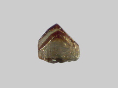 Clinoenstatite - La Loire - Gien - Loiret - FP - Taille 0,7mm - Copie