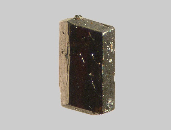 Hornblende - Le Rioupéroux - Geollère - Perpezat - Puy-de-Dôme - FP - Taille 0,8mm