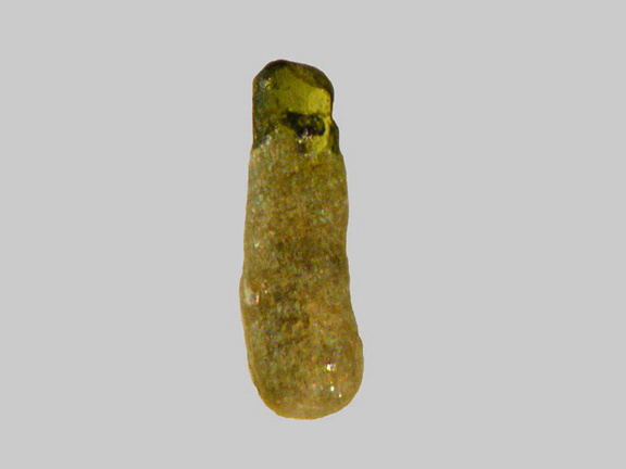 Diopside - Plage de la Roussellerie - Saint-Michel-Chef-Chef - Loire-Atlantique - FP - Taille 0,7mm