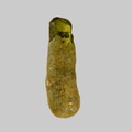 Diopside - Plage de la Roussellerie - Saint-Michel-Chef-Chef - Loire-Atlantique - FP - Taille 0,7mm