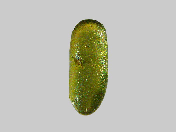 Diopside - Plage du Rocher Sainte-Véronique - Brétignolles-sur-Mer - Vendée - FP - Taille 1,1mm