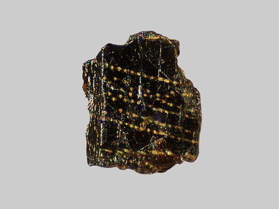 Hornblende « avec trous de vers » - Le Rioupéroux - Jollère - Perpezat - Puy-de-Dôme - FP - Taille 0,6mm