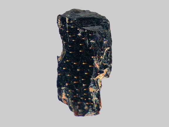 Hornblende déstabilisée - Le Say - Chaspuzac - Haute-Loire - FP - Taille 3,5mm