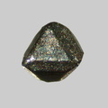 Magnétite - La Loire - Gien - Loiret - FP - Taille 0,6mm