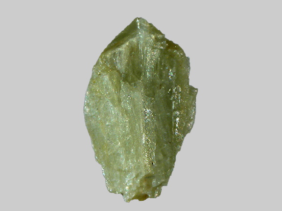 Pargasite - Peygerolles - Saint-Privat-du-Dragon - Haute-Loire - FP - Taille 1,5mm