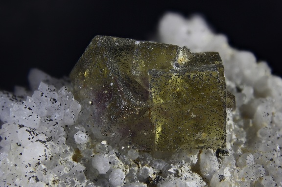 n°103147 - Fluorite Pyrite - Les Rocs (Carrière) - Buxières-les-Mines - Allier