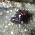 n°148058 - Sphalerite - Col des Tribes (Carrière) -	Le Bleymard - Lozère