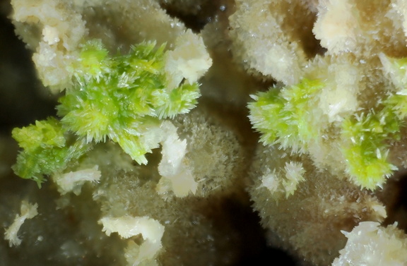 Pyromorphite - Sainte Sévère - Indre