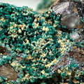 n°168040 - Malachite - Elisa (mine) - Mollau - Haut-Rhin