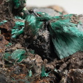 n°168047 - Malachite - Elisa (mine) - Mollau - Haut-Rhin