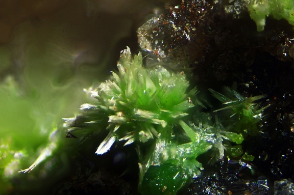 n°158015 - Pyromorphite - Chaumot - Nièvre