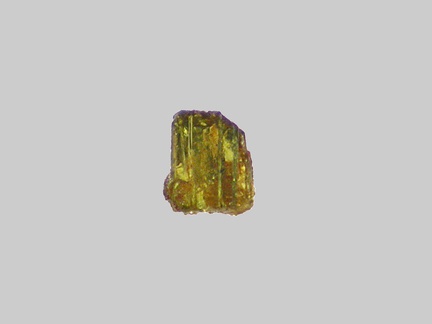 Epidote - La Durance - Peyrolles-en-Provence - Bouches-du-Rhône - FP - Taille 0,3mm