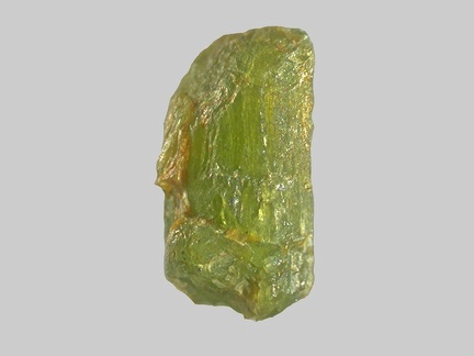 Epidote - La Durance - Peyrolles-en-Provence - Bouches-du-Rhône - FP - Taille 2,5mm