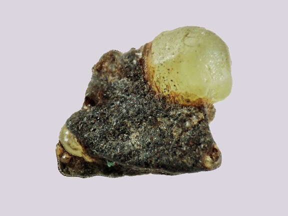 Olivine - l'Ailloux - Sugères - Puy-de-Dôme - FP - Taille 2mm