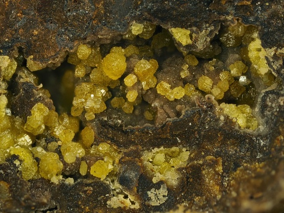 Pyromorphite-Mimetite -  les Montmins -  Echassieres - Allier 