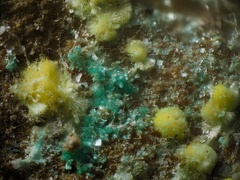 Uranophane Malachite - Mas d'Alary - Lodève - Hérault