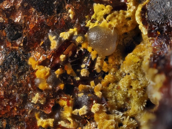 Eleonorite Strengite Cacoxenite - Fumade - Castelnau de Brassac - Fontrieu - Castres - Tarn