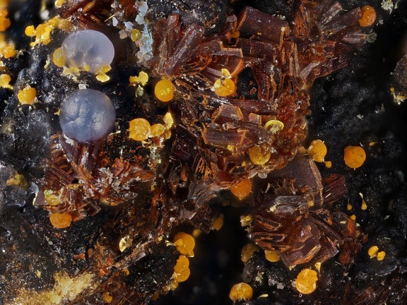 Eleonorite Strengite Cacoxenite - Fumade - Castelnau de Brassac - Fontrieu - Castres - Tarn