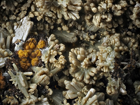 Pyromorphite - Mine de la Rouvière - Sainte-Marguerite-Lafigère  - Ardèche 