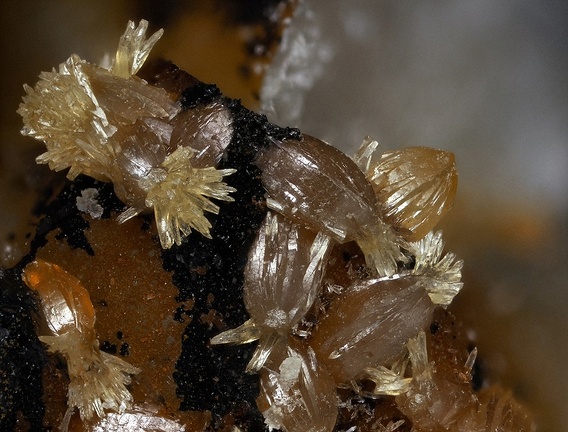 Pyromorphite - Mine de la Rouvière - Sainte-Marguerite-Lafigère - Ardèche