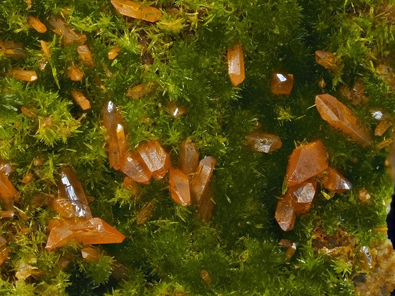 Crocoite Pyromorphite - Le Cantonnier - Nontron - Dordogne