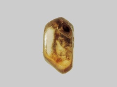 Zircon - La Gigeole - Nébouzat - Puy-de-Dôme - FP - Taille 3mm