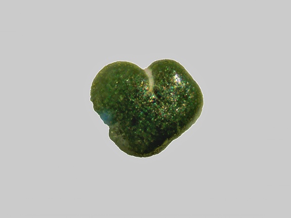 Glauconite - La Loire - Ouzouer-sur-Loire - Loiret - FP - Taille 0,4 mm