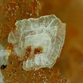 Baryte - Mine d'Arrigas - Arrigas -  Le Vigan - Gard