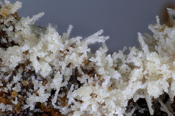 Pyromorphite  Plumbogummite - Fumade - Castelnau de Brassac - Fontrieu - Castres - Tarn