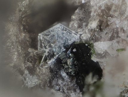 Tridymite - Puy de la Tache - Mont-Dore - Puy de Dôme