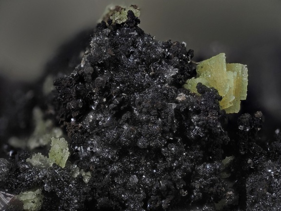 Autunite Pyrite - Carrière de Kerguillo - Guilers - Finistère