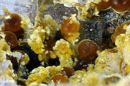 Cacoxenite Fluorite - Carrière de Birrity - Arbouet-Sussaute - Pyrénées-Atlantiques