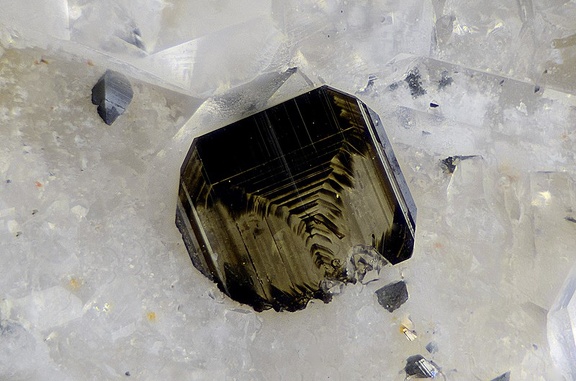 Brookite  Anatase - Forêt de Sapey - Jarrier - St Jean de Maurienne - Savoie