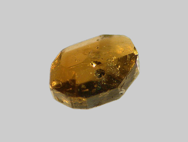 Dravite - Le Salat - Saint-Sernin - Ariège - FP - Taille 0,6mm