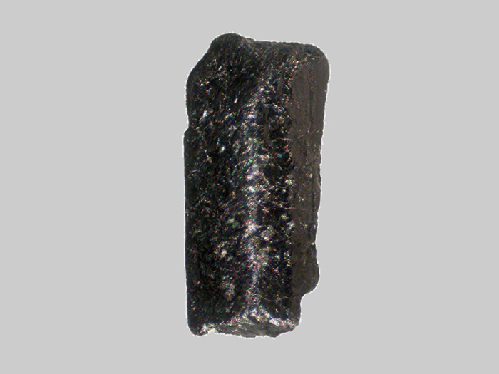 Columbite-Tantalite - Le Barrot - Bessines-sur-Gartempe - Haute-Vienne - FP - Taille 3,5mm.jpg