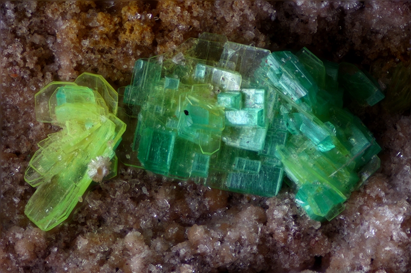 n°183115 (a) - Torbernite  Autunite - Le Charbonnier (mine) - Les Adrets de l'Esterel - Var