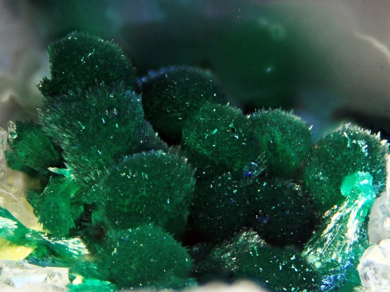 n°111148 - Malachite - Montauch (mine) - Palairac - Aude