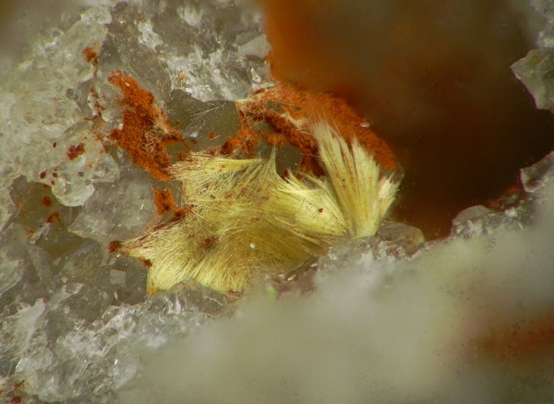 Cacoxenite - Les Montmins - Echassières - Allier