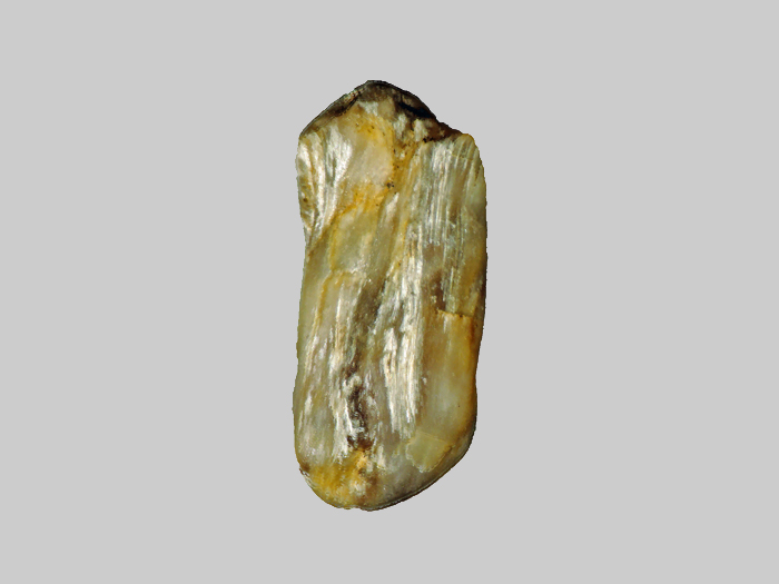 Sillimanite - Ruisseau de Boulade - Issoire - Puy-de-Dôme - FP - Taille 3 mm