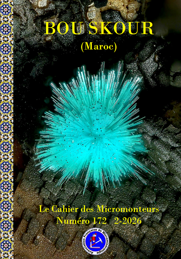 Bou Skour n°172